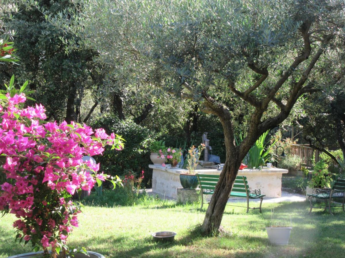 Domaine Du Bois Gite Bleuette Galargues Exterior foto